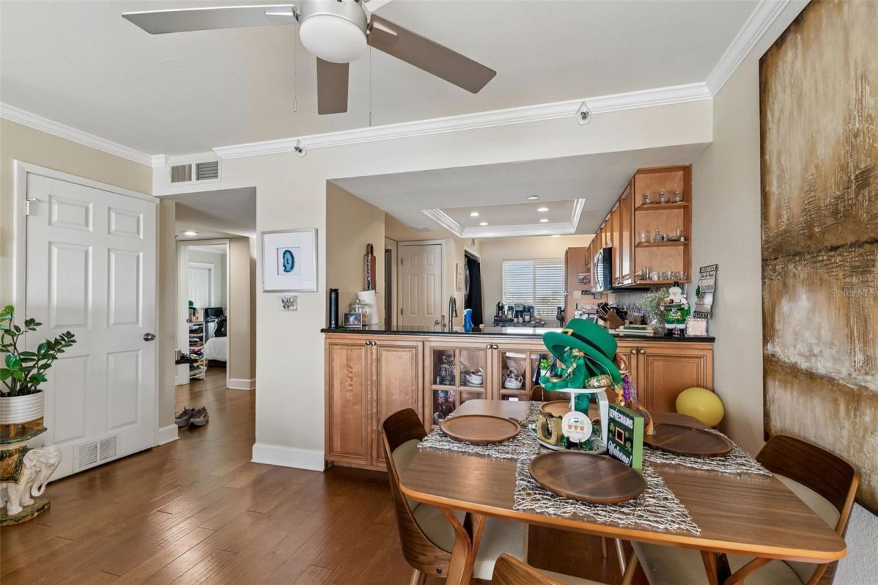 2 Adalia Avenue, Unit 704, Tampa, FL 33606 Photo