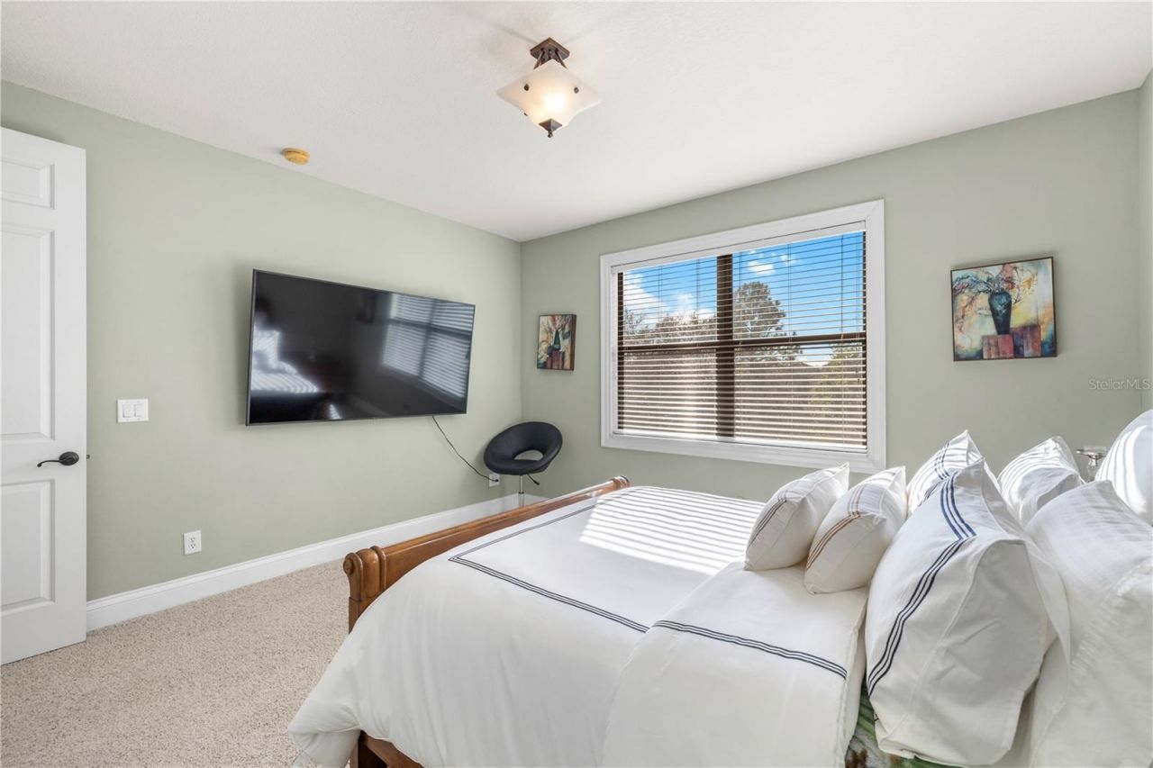 20120 Shady Hill Lane, Tampa, FL 33647 Photo