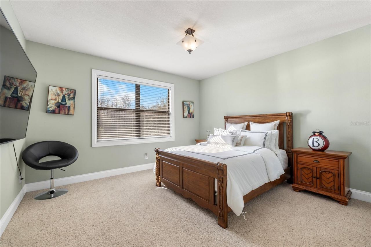 20120 Shady Hill Lane, Tampa, FL 33647 Photo