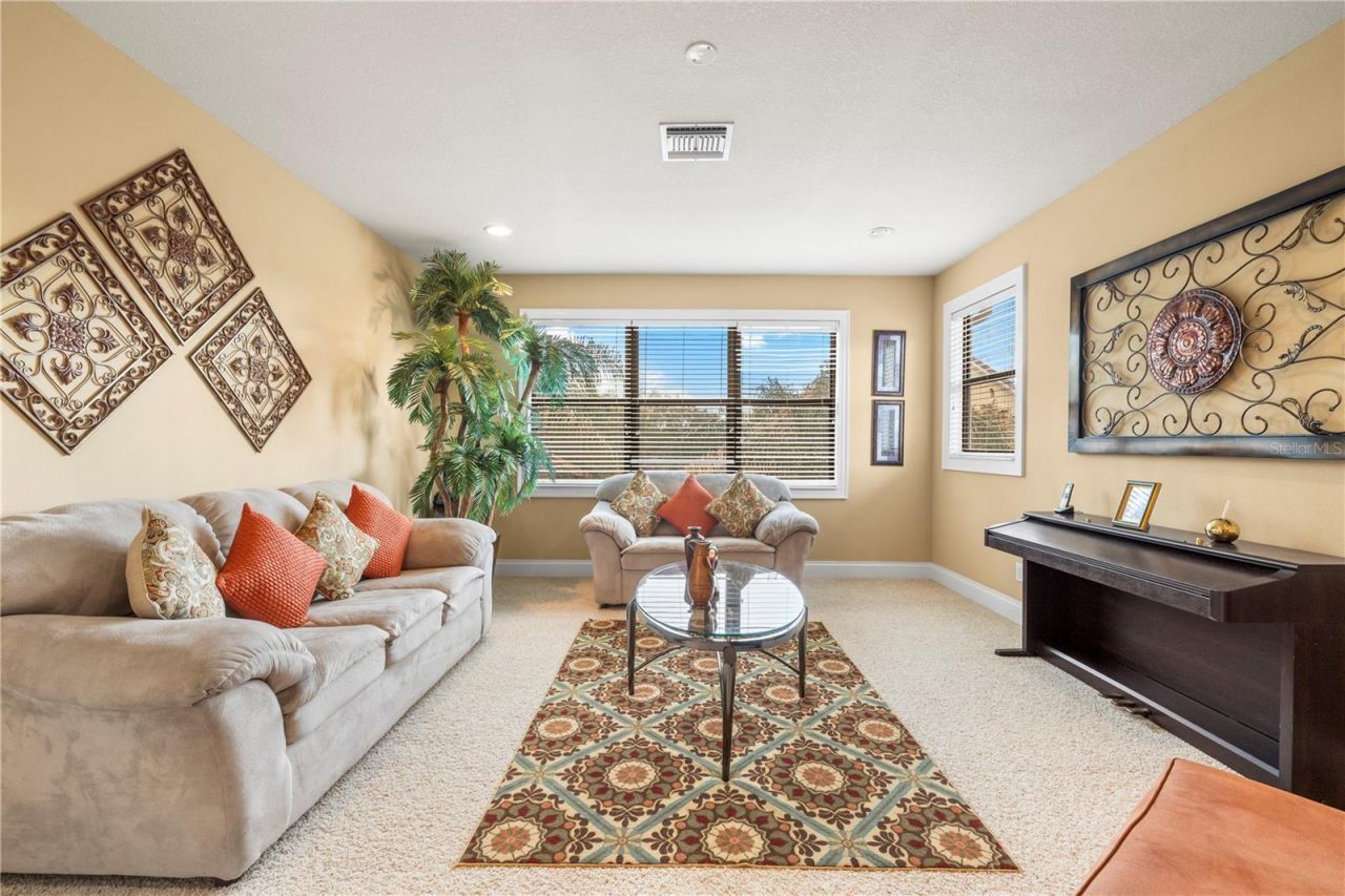 20120 Shady Hill Lane, Tampa, FL 33647 Photo