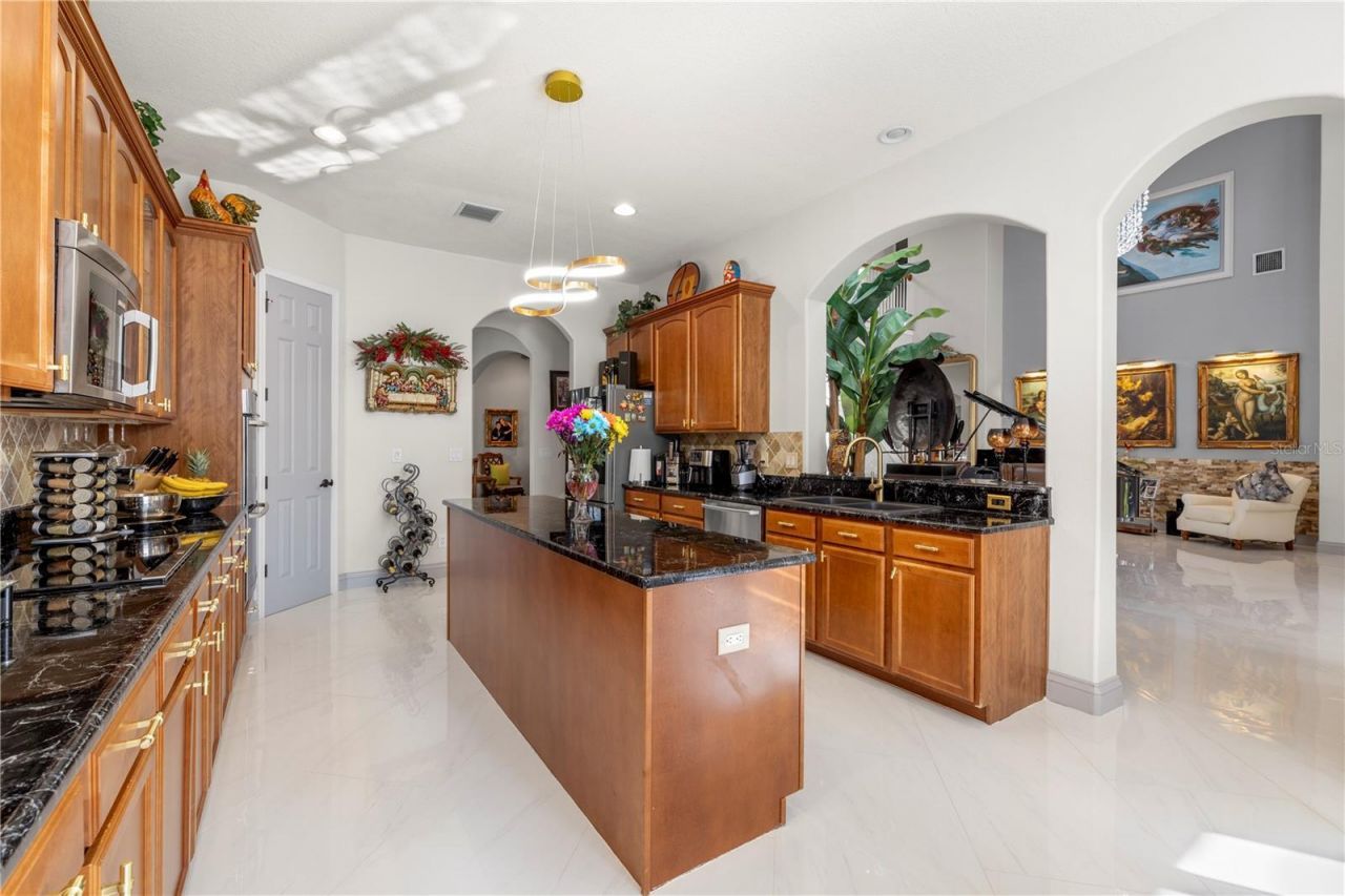 20120 Shady Hill Lane, Tampa, FL 33647 Photo