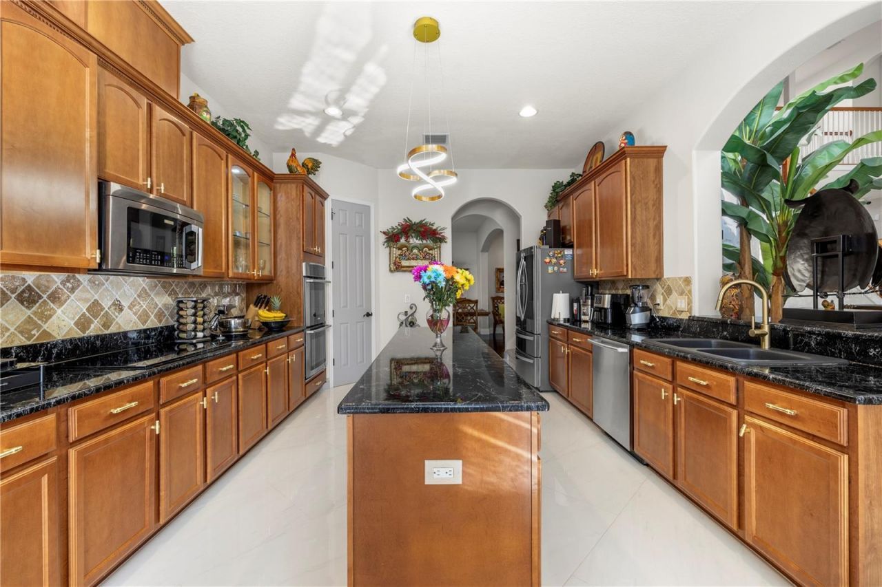 20120 Shady Hill Lane, Tampa, FL 33647 Photo