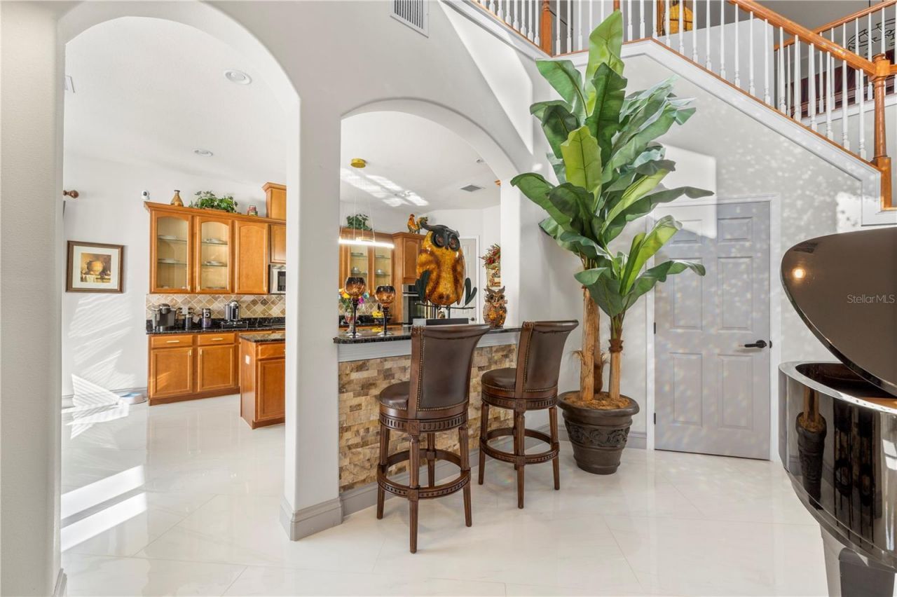 20120 Shady Hill Lane, Tampa, FL 33647 Photo