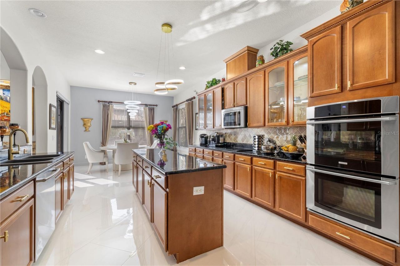 20120 Shady Hill Lane, Tampa, FL 33647 Photo