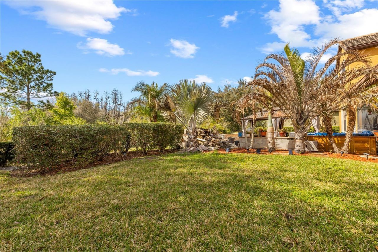 20120 Shady Hill Lane, Tampa, FL 33647 Photo