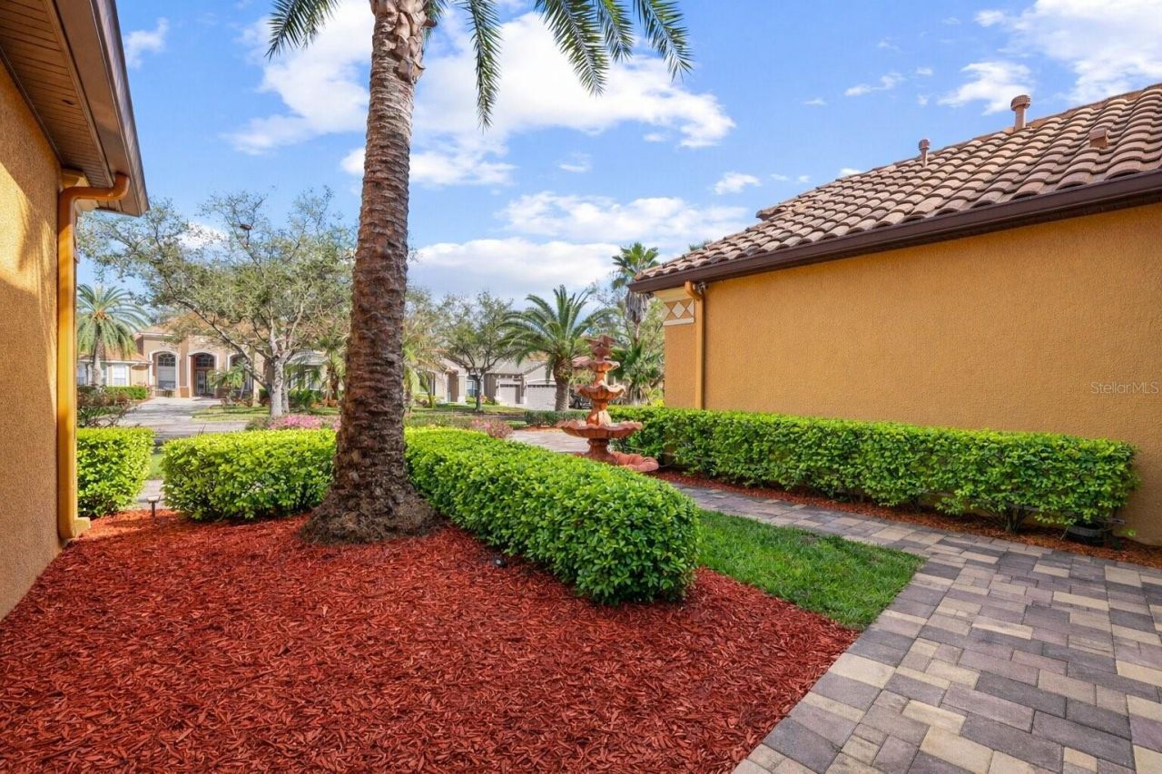 20120 Shady Hill Lane, Tampa, FL 33647 Photo