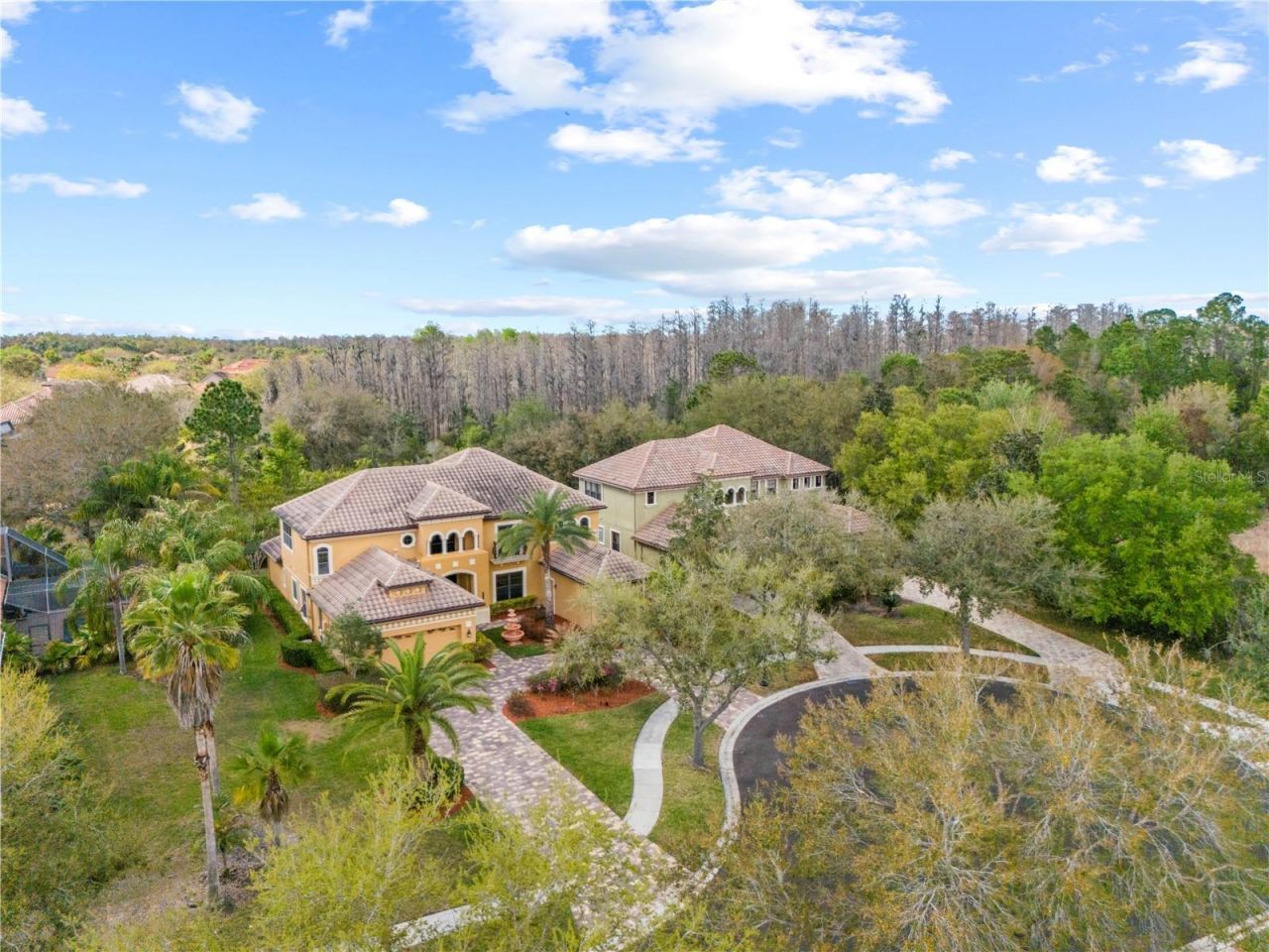 20120 Shady Hill Lane, Tampa, FL 33647 Photo