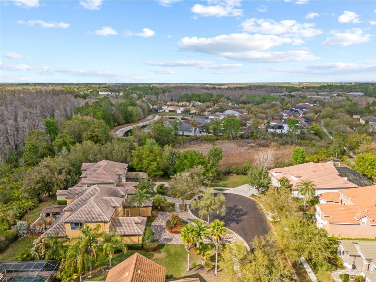 20120 Shady Hill Lane, Tampa, FL 33647 Photo