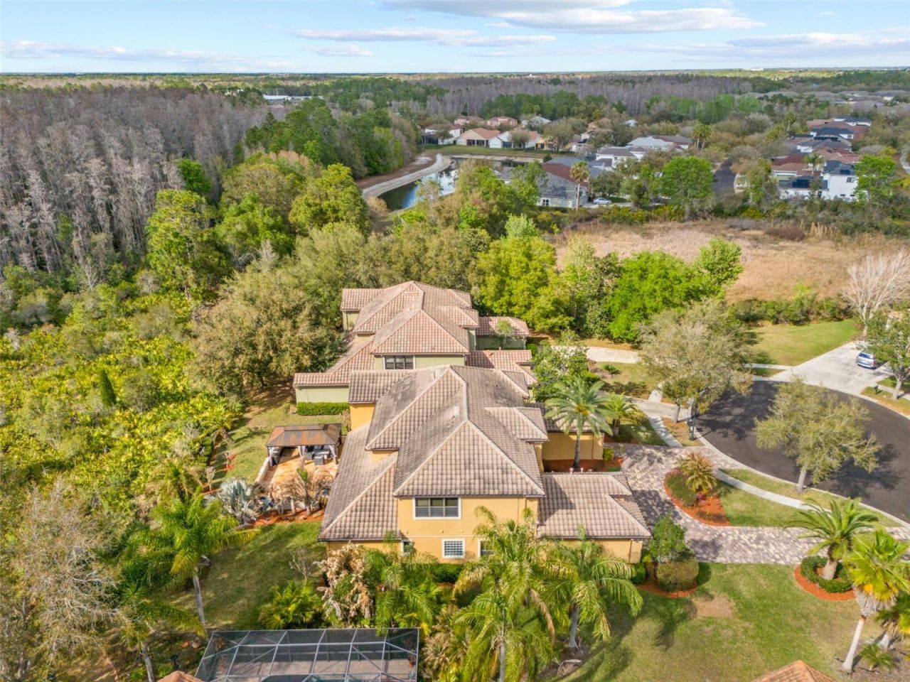 20120 Shady Hill Lane, Tampa, FL 33647 Photo