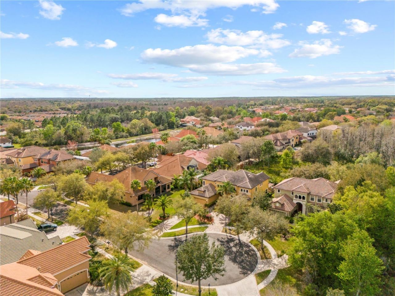 20120 Shady Hill Lane, Tampa, FL 33647 Photo