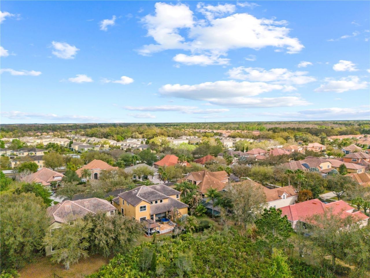 20120 Shady Hill Lane, Tampa, FL 33647 Photo