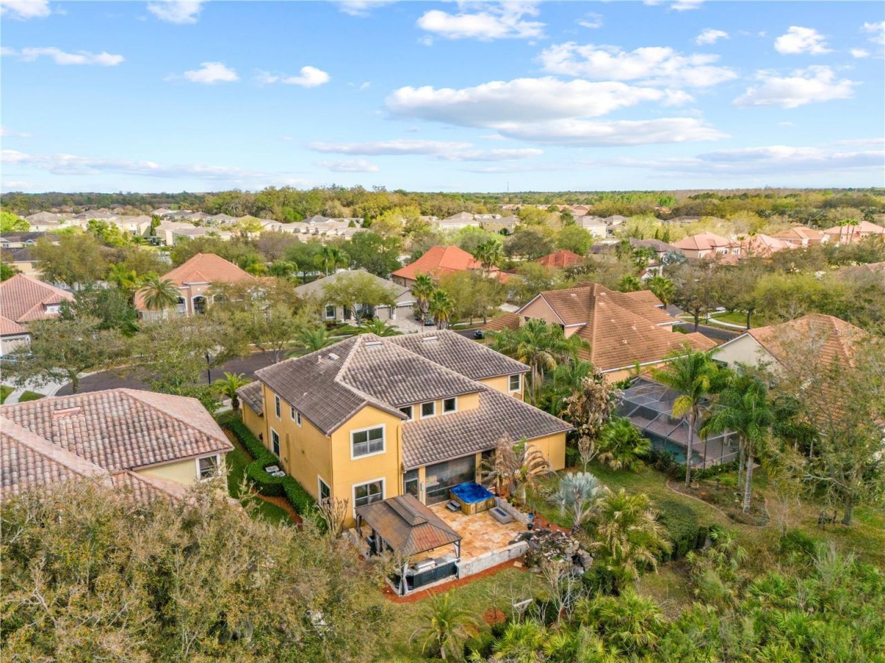 20120 Shady Hill Lane, Tampa, FL 33647 Photo