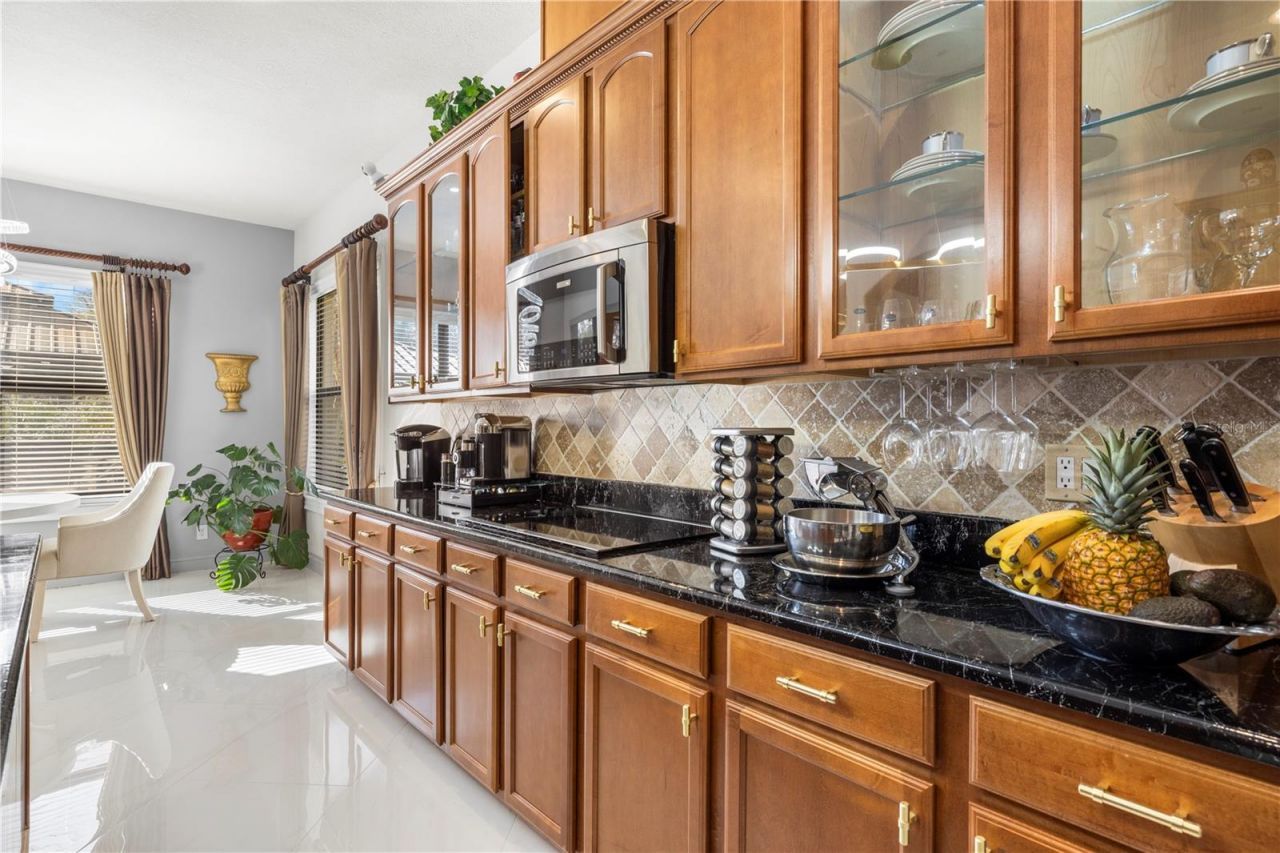 20120 Shady Hill Lane, Tampa, FL 33647 Photo