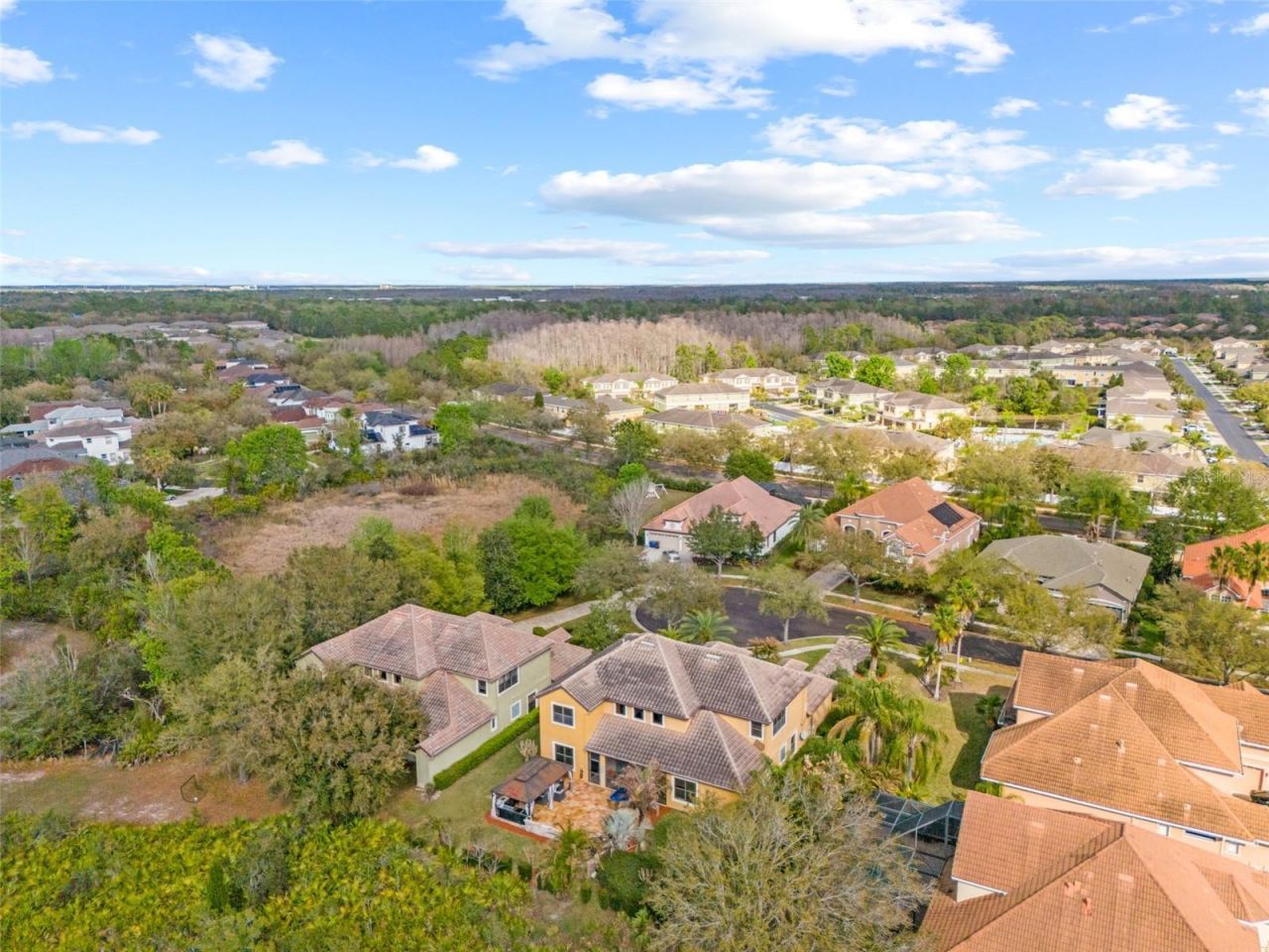 20120 Shady Hill Lane, Tampa, FL 33647 Photo