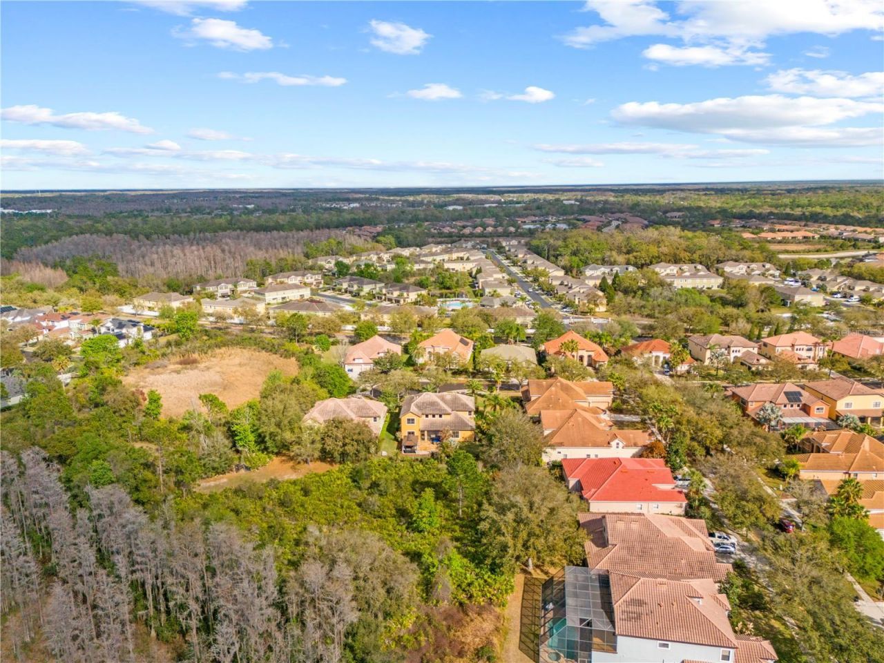 20120 Shady Hill Lane, Tampa, FL 33647 Photo