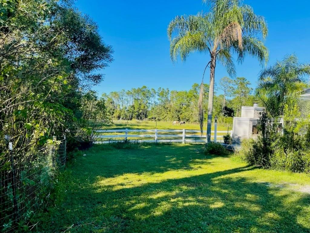 3551 Red Barn Lane , Ormond Beach, FL 32174 Photo