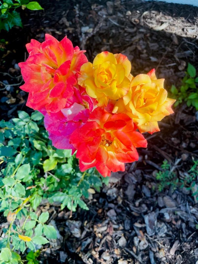 3551 Red Barn Lane , Ormond Beach, FL 32174 Photo