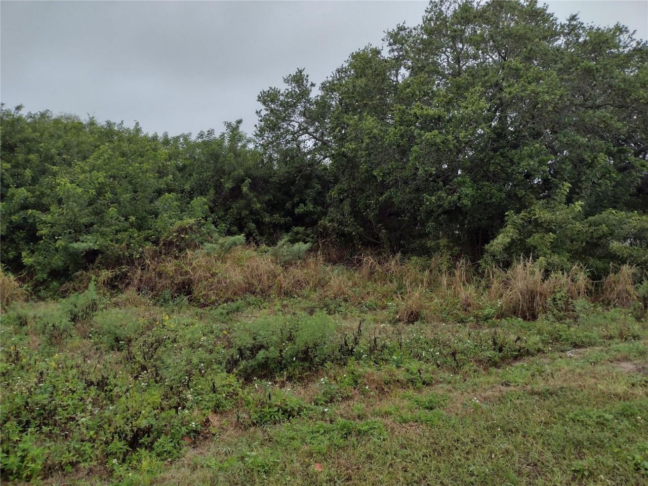 000 N Atlantic Avenue , Cocoa Beach, FL 32931 Photo