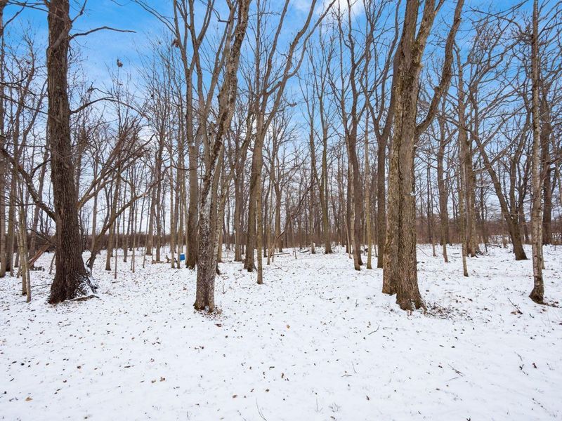 2295 Olmstead Road, West Jefferson, OH 43162 Photo 51