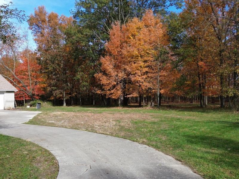 2295 Olmstead Road, West Jefferson, OH 43162 Photo 68