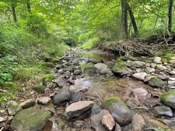 00 Greenlee Rd, Lot #1A, Polk, PA 16342