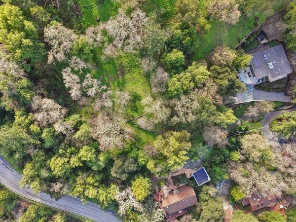 145 Foxwood Road Road, Portola Valley, CA 94028