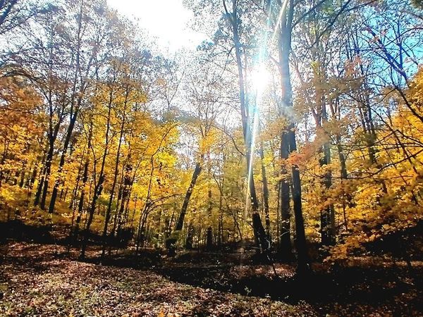 1045 Sardis Road, Oak Hill, OH 45656