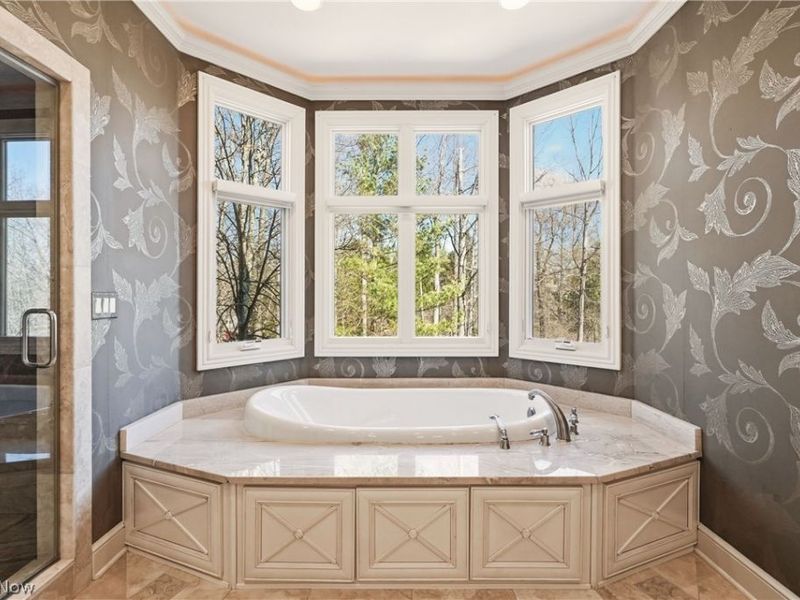 60 South Lane, Moreland Hills, OH 44022 Photo 18