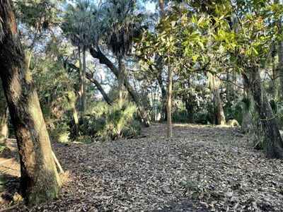 539 Oristo Ridge, Edisto Beach, SC 29438
