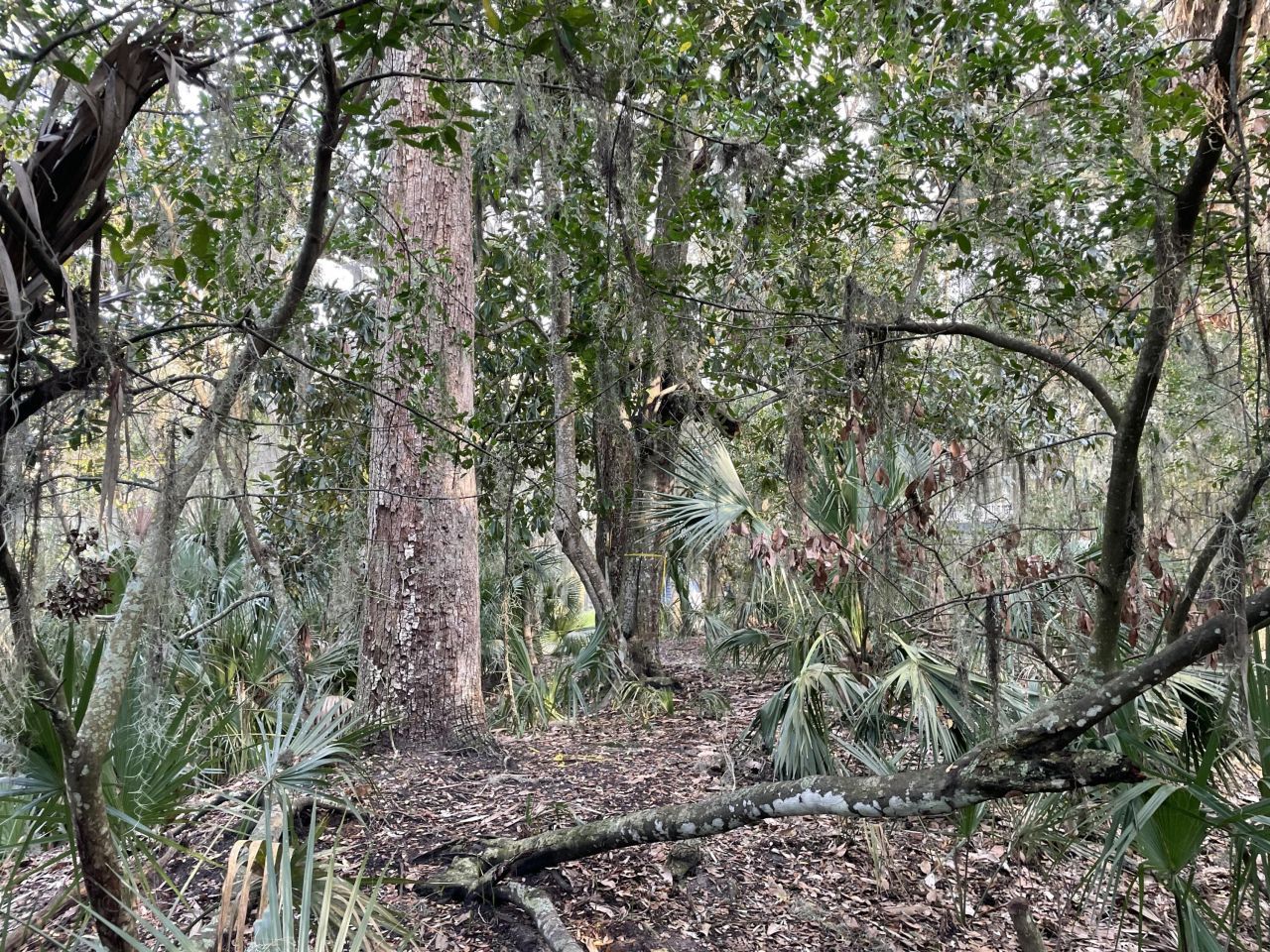 539 Oristo Ridge Photo 10