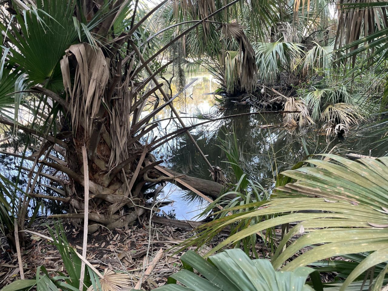 539 Oristo Ridge Photo 11