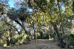 539 Oristo Ridge photo 4