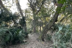 539 Oristo Ridge photo 4