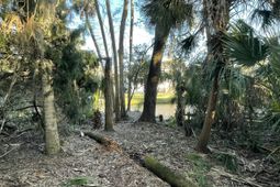 539 Oristo Ridge photo 4