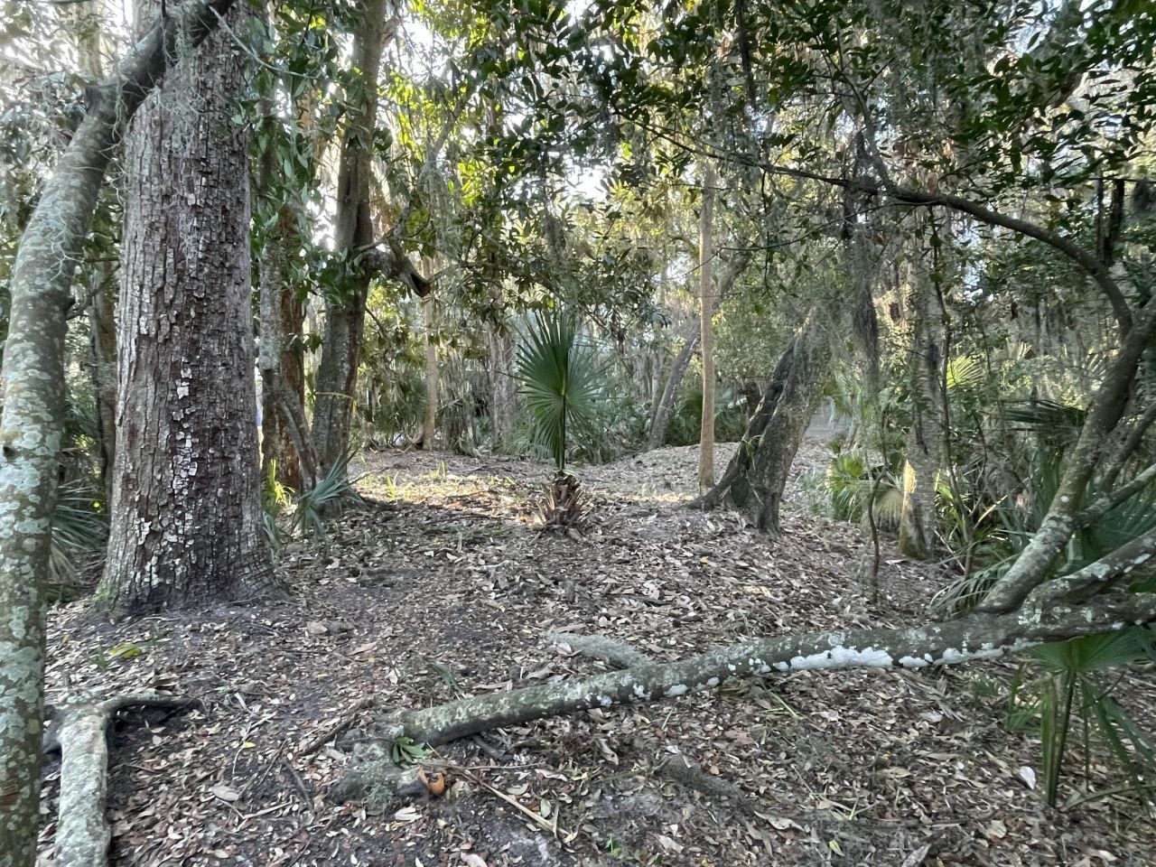 539 Oristo Ridge Photo 5