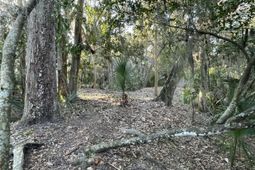 539 Oristo Ridge photo 4