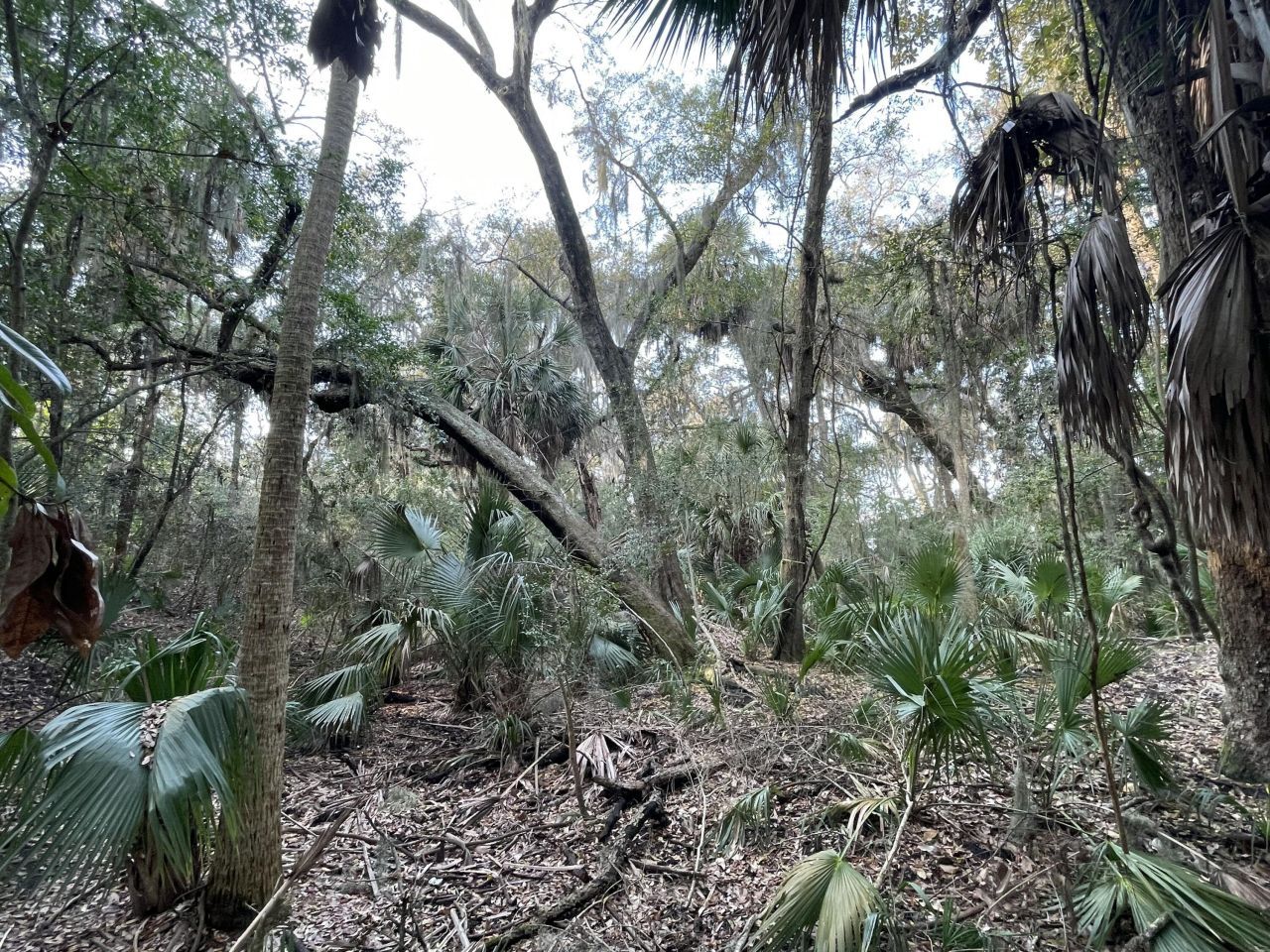 539 Oristo Ridge Photo 7