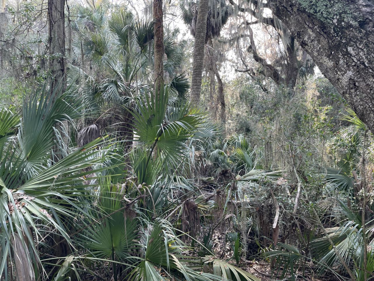 539 Oristo Ridge Photo 9