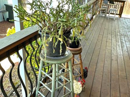 20 Rollingwood Dr #88, Jackson, CA 95642 Photo