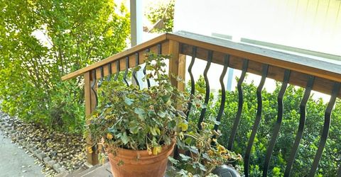 20 Rollingwood Dr #88, Jackson, CA 95642 Photo
