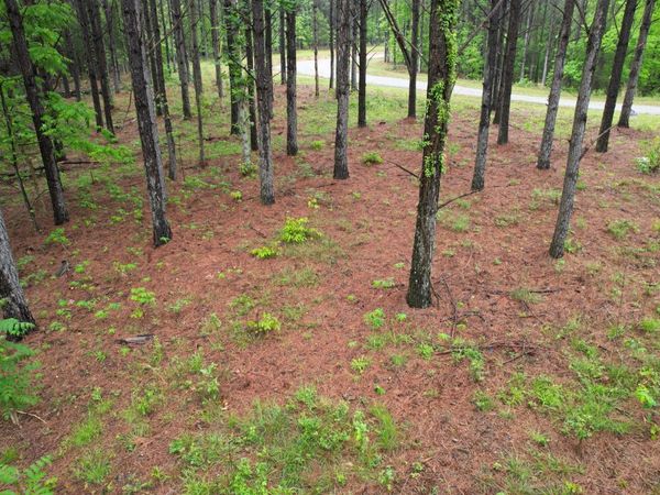 628 Starlight Dr , Linden, TN 37096