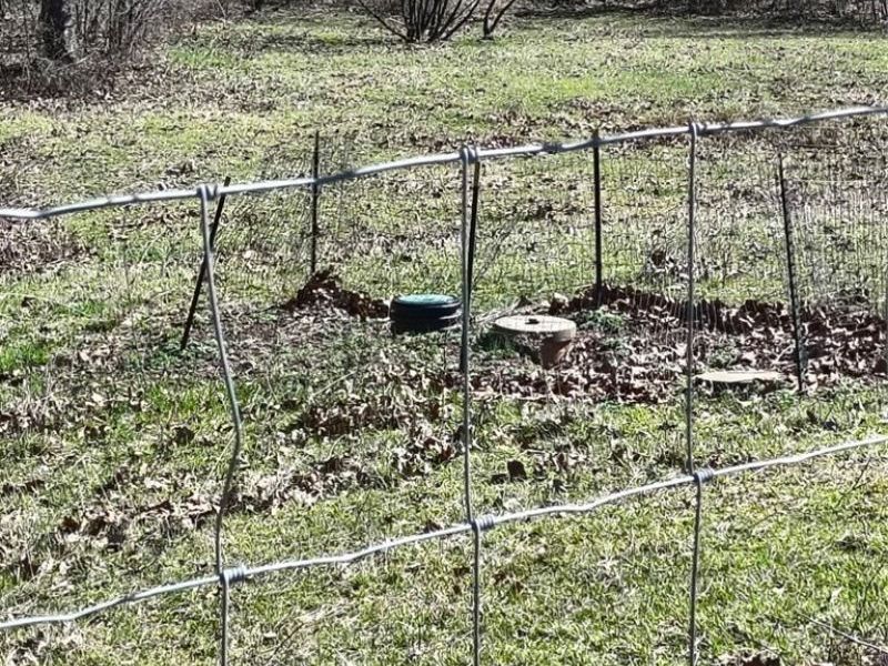 10174 Veto Road, Belpre, OH 45714 Photo 14