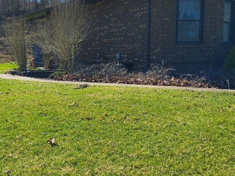 10174 Veto Road, Belpre, OH 45714 Photo 6