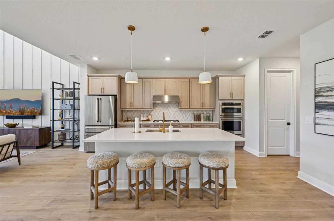 10123 Hidden Hammock Loop , Parrish, FL 34219 Photo