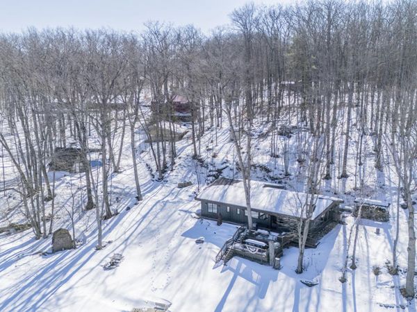 10478 Wampum Trail, Evart, MI 49631