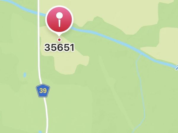 120 +/- ACRES County Road 39, Mount Hope, AL 35672