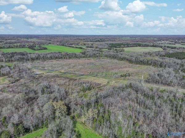 120 +/- ACRES County Road 39, Mount Hope, AL 35672