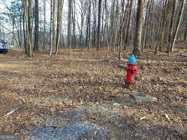 0 LOTS 9 & 9A Wild Bird, Sky Valley, GA 30537
