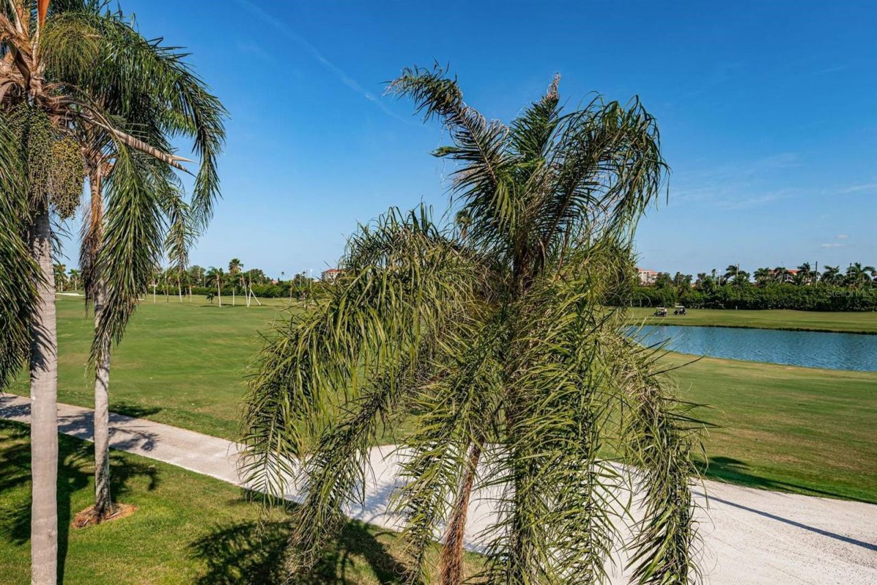 6151 Bahia Del Mar Boulevard , Unit 226, Saint Petersburg, FL 33715 Photo