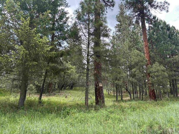 Lot 1 Card Creek, Casey Estates#3, Garden Valley, ID 83622